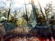 La Foret Pensive - oeuvre d'Etienne Saint-Amant exposé à la galerie Turbine 240