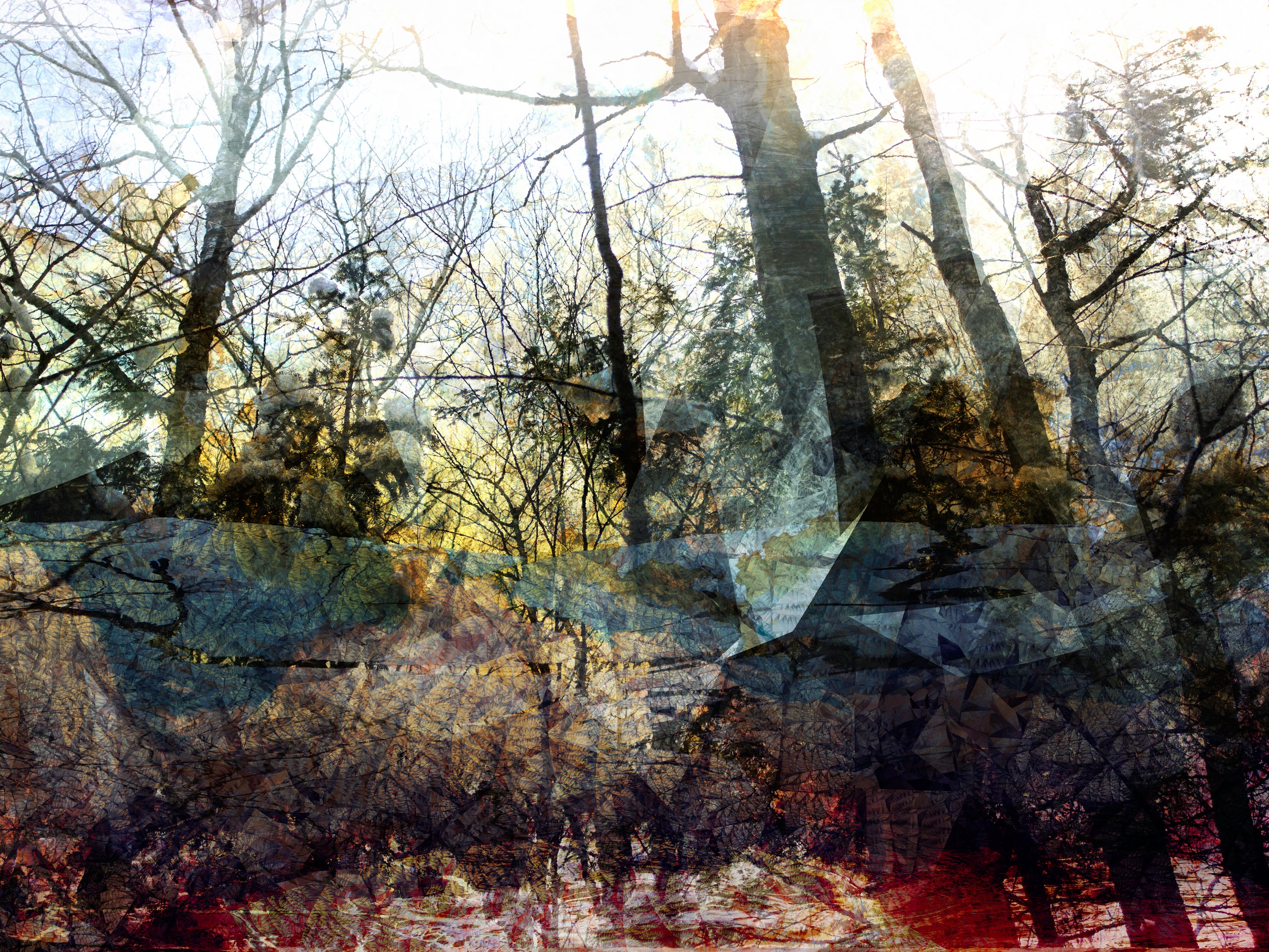 La Foret Pensive - oeuvre d'Etienne Saint-Amant exposé à la galerie Turbine 240