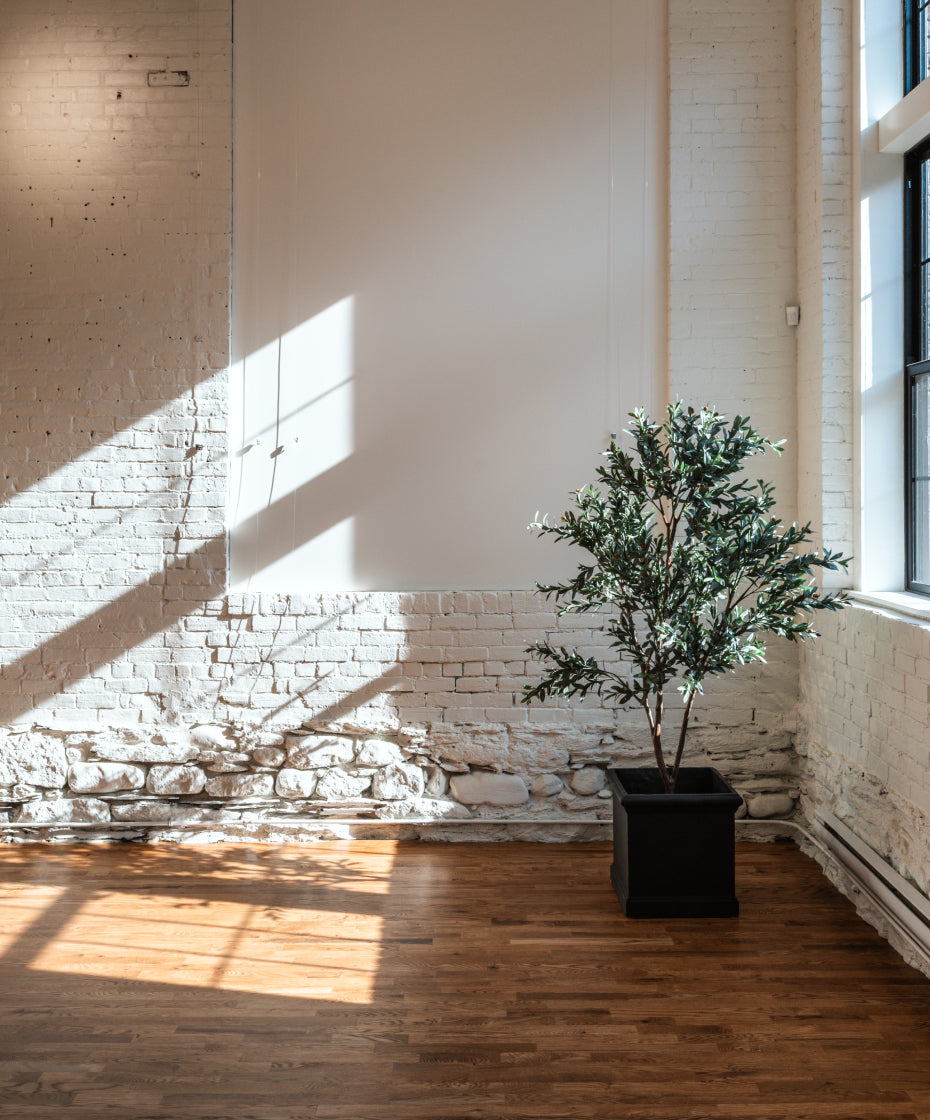 intérieur galerie d’art Turbine 240 Magog avec plante
