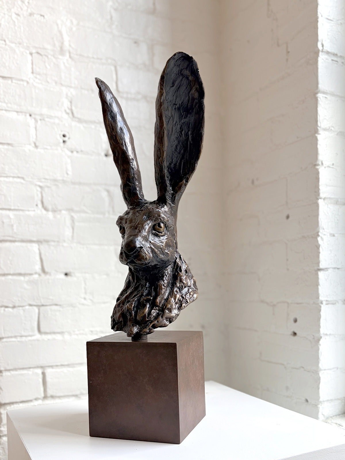 Buste Anxious Hare