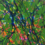 Aria braziliana No2